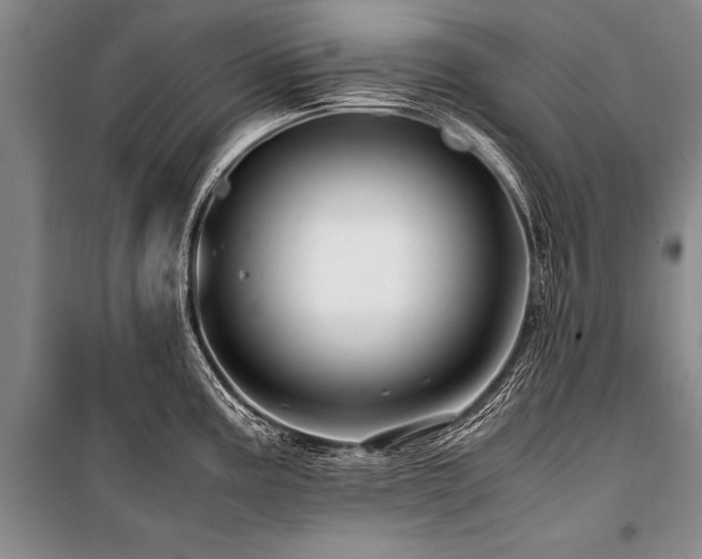 X0000101171195200806271026