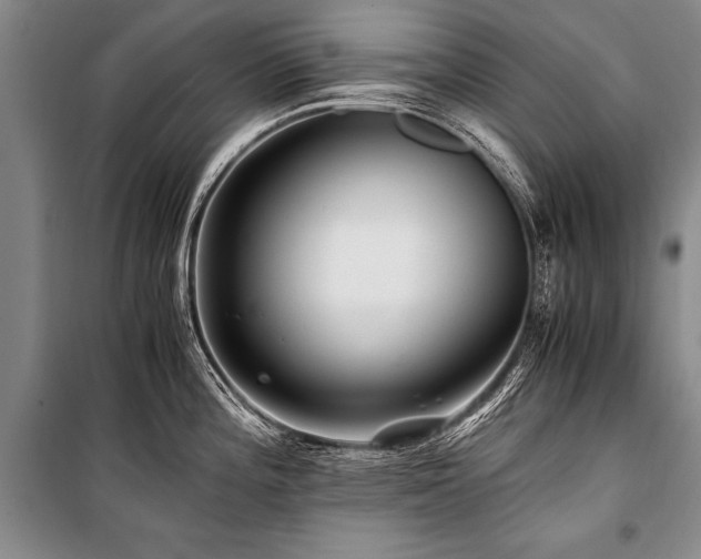 X0000101171196200806271026