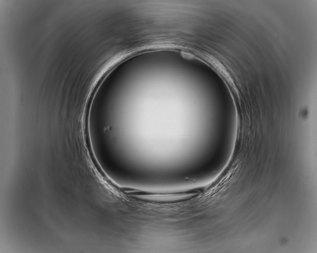 X0000101171197200806271026