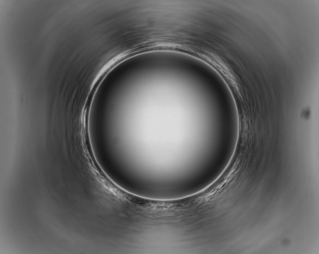 X0000101171198200806271026