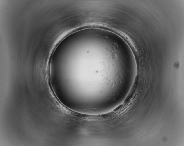 X0000101171199200806271026