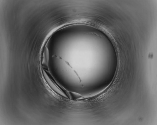 X0000101171200200806271026