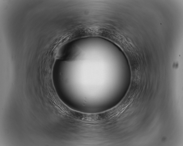 X0000101171201200806271025