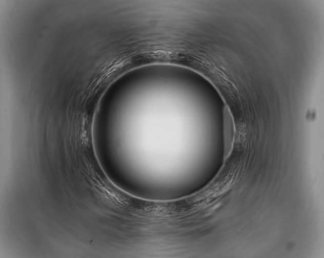 X0000101171202200806271026