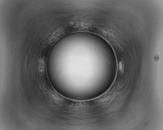 X0000101171203200806271026
