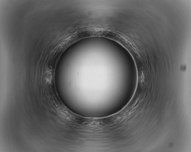 X0000101171204200806271026