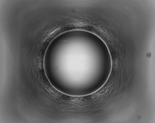 X0000101171205200806271026