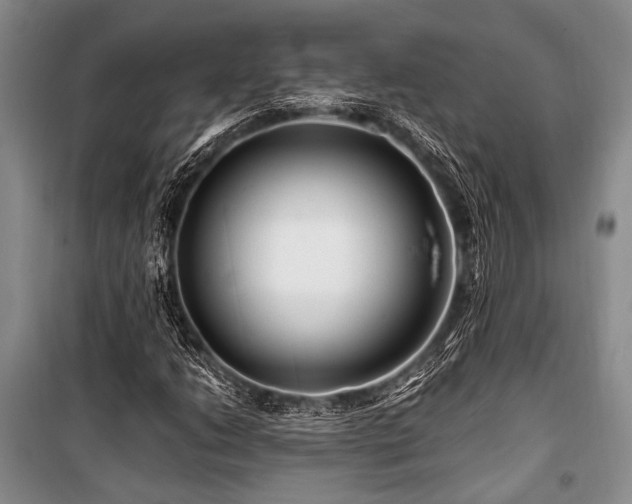 X0000101171206200806271026