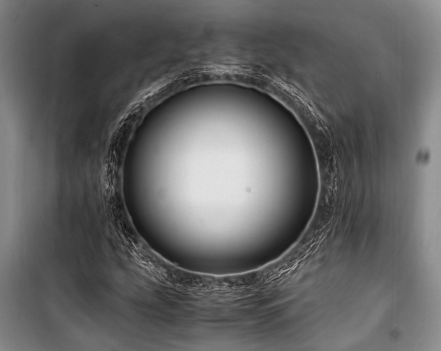X0000101171207200806271026