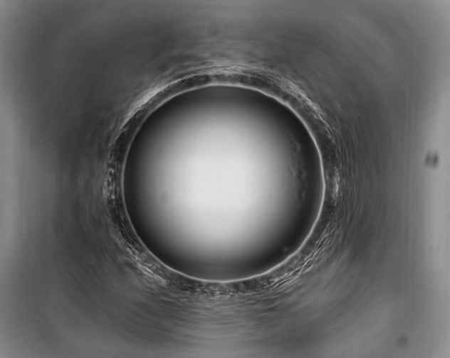 X0000101171208200806271026