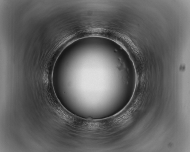 X0000101171209200806271026