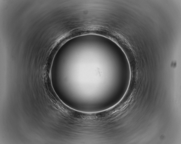 X0000101171210200806271026