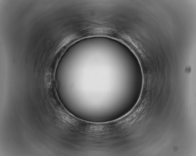 X0000101171211200806271026