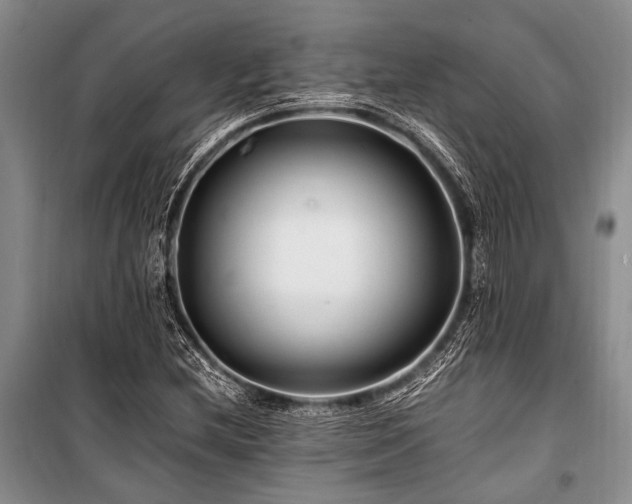 X0000101171212200806271026