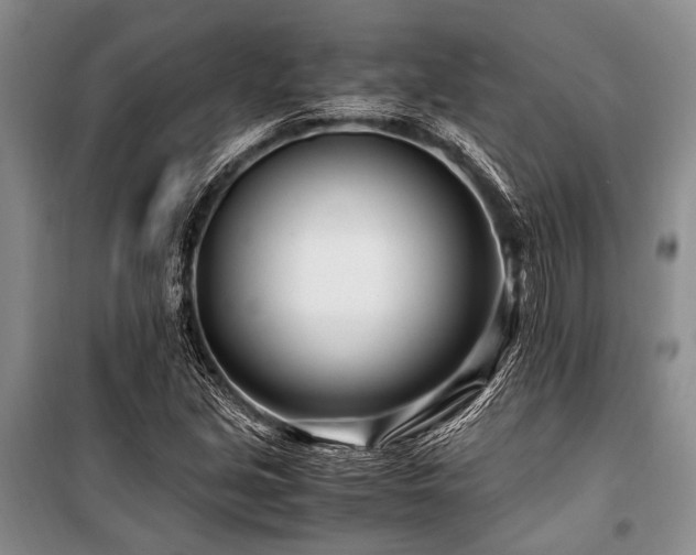 X0000101171213200806271026