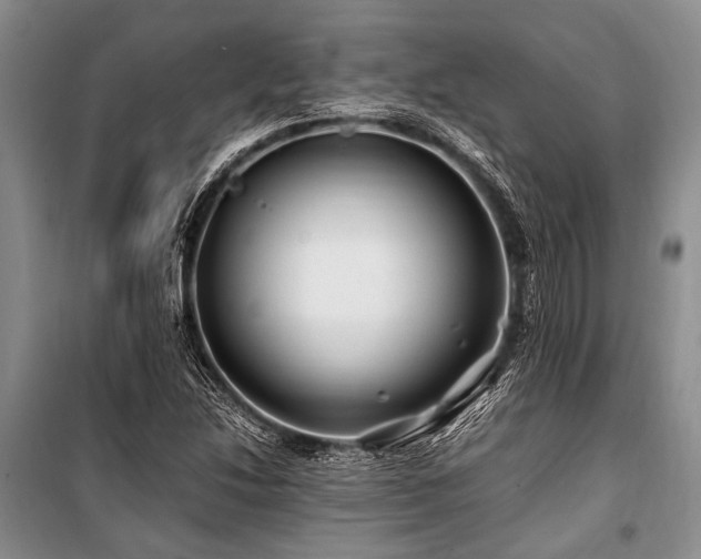 X0000101171214200806271026