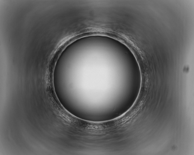 X0000101171215200806271026