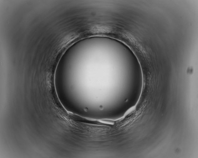 X0000101171217200806271026