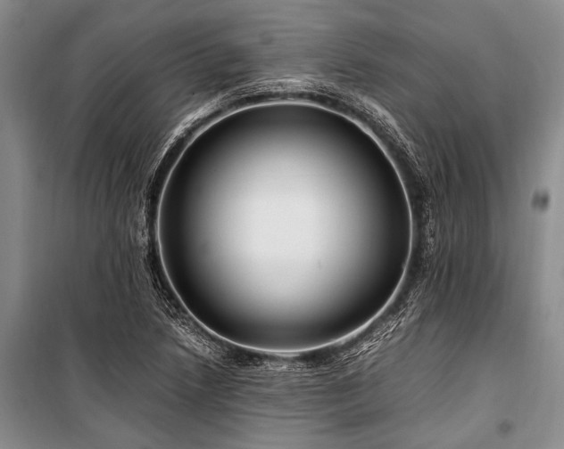 X0000101171218200806271026
