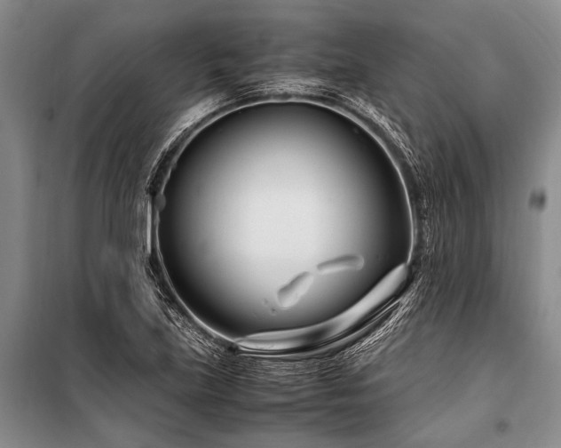 X0000101171219200806271026