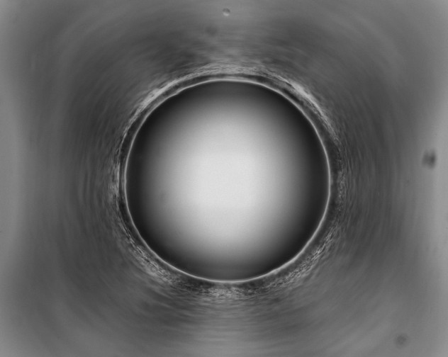 X0000101171220200806271026