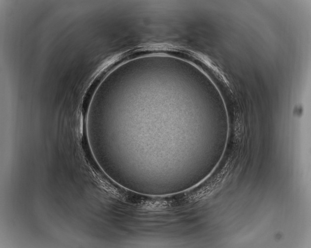 X0000101171221200806271026