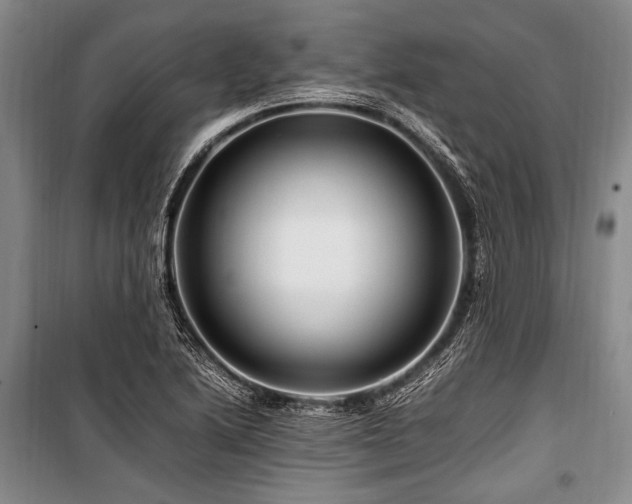X0000101171222200806271026