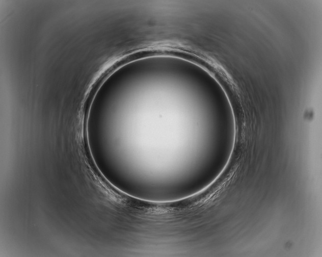 X0000101171224200806271026