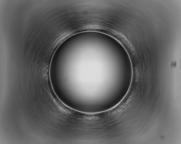 X0000101171225200806271026