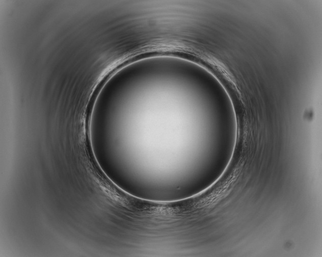X0000101171226200806271026