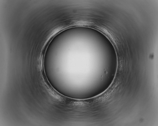 X0000101171227200806271026
