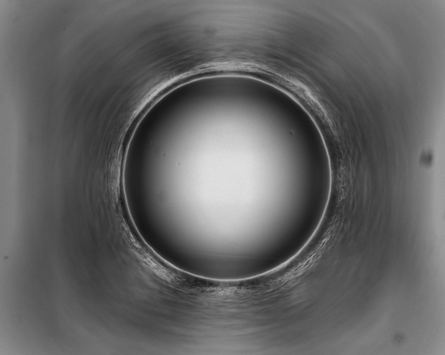 X0000101171228200806271026