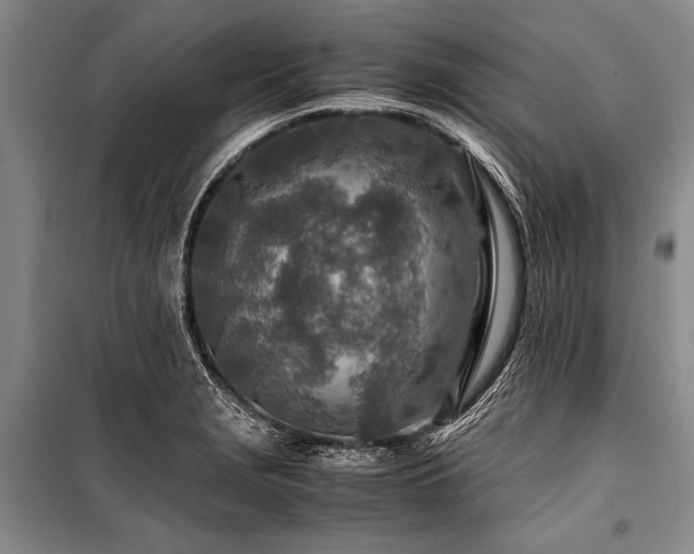 X0000101171229200806271026