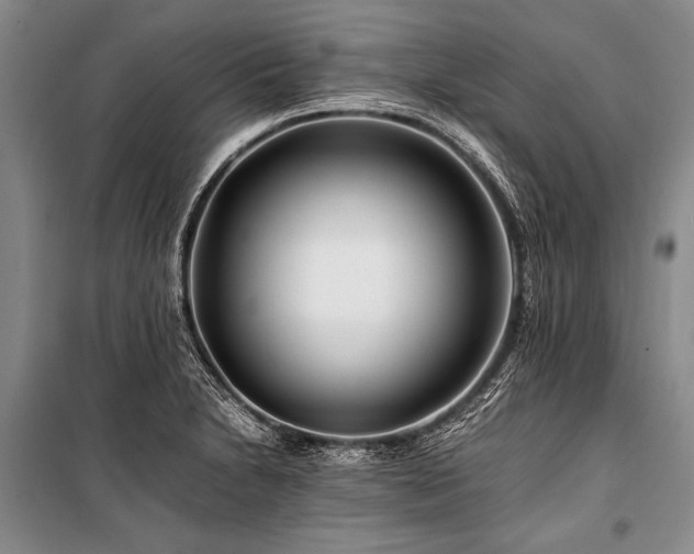 X0000101171230200806271026