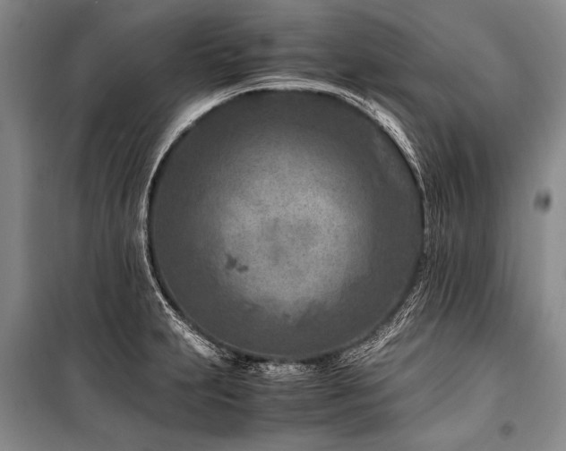 X0000101171231200806271026