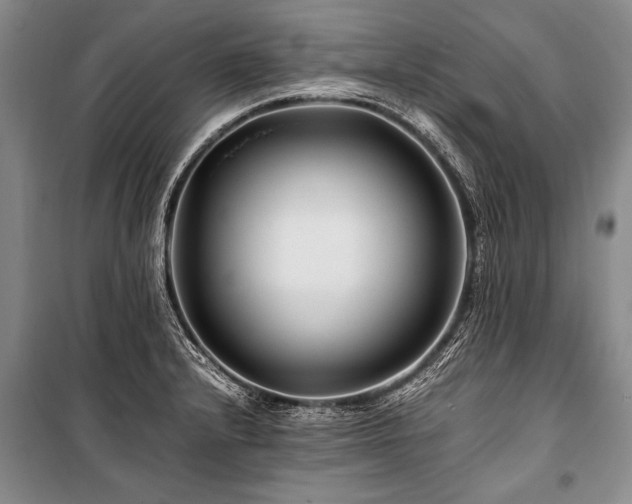 X0000101171232200806271026