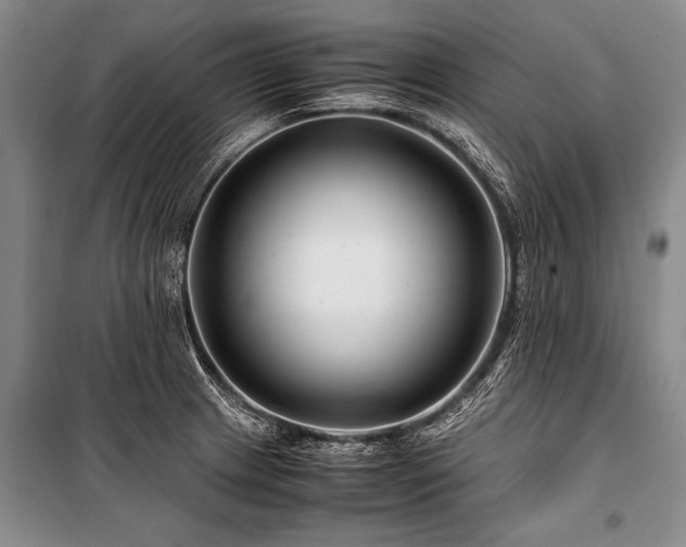 X0000101171233200806271026