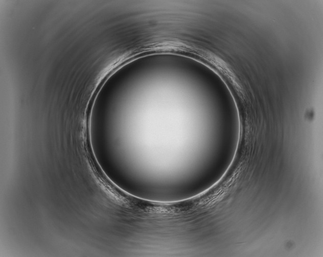 X0000101171234200806271026