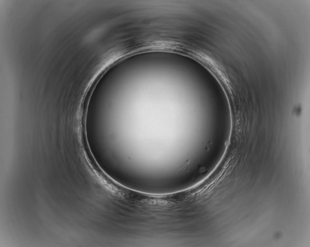 X0000101171235200806271026