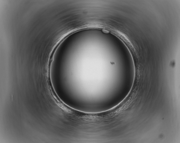 X0000101171236200806271026