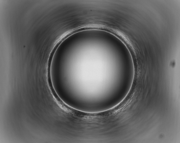 X0000101171237200806271026