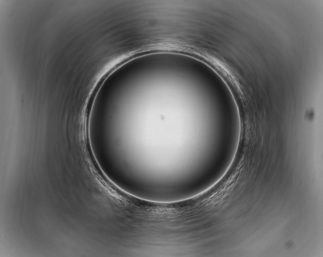 X0000101171238200806271026
