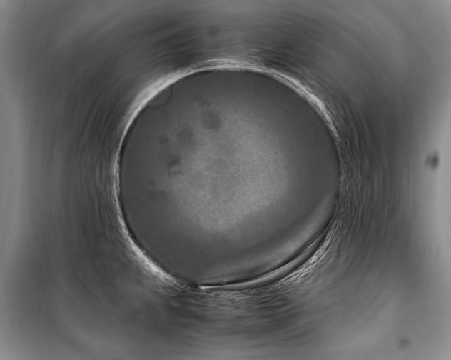 X0000101171239200806271026