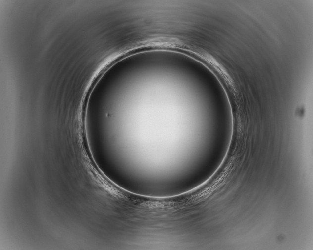 X0000101171240200806271026
