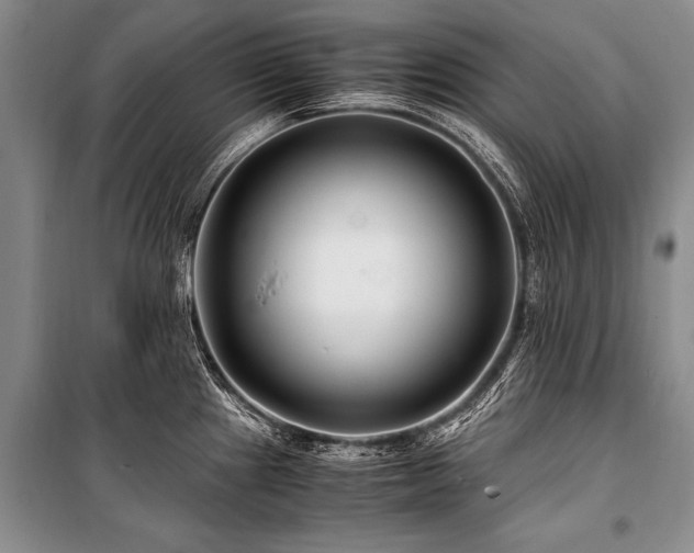 X0000101171241200806271026