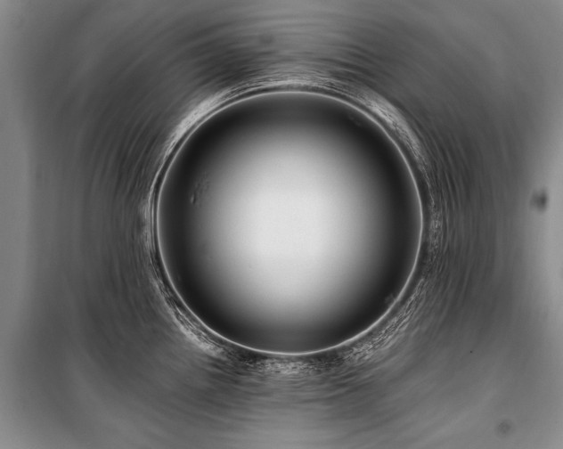 X0000101171242200806271026