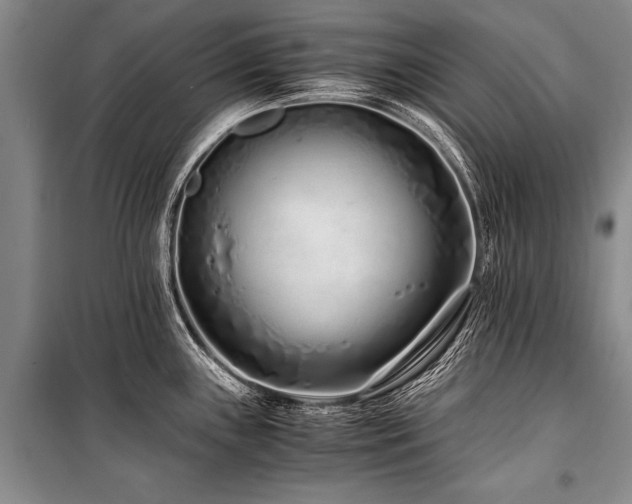 X0000101171243200806271026