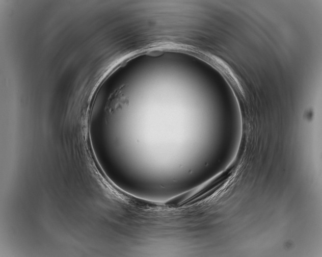 X0000101171244200806271026