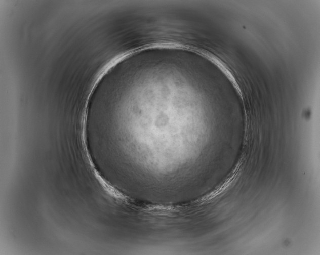 X0000101171245200806271026