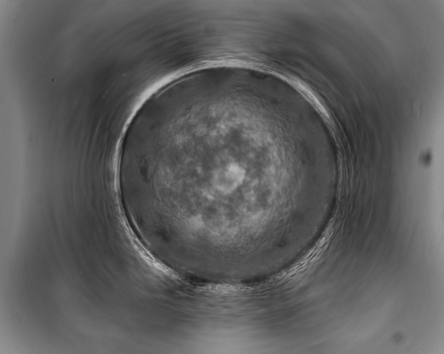 X0000101171246200806271026